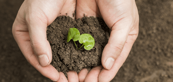 濟南長田實業有限公司,長田集團,商業管理,酒店管理,物業管理,房產開發,農業科技,路橋工程